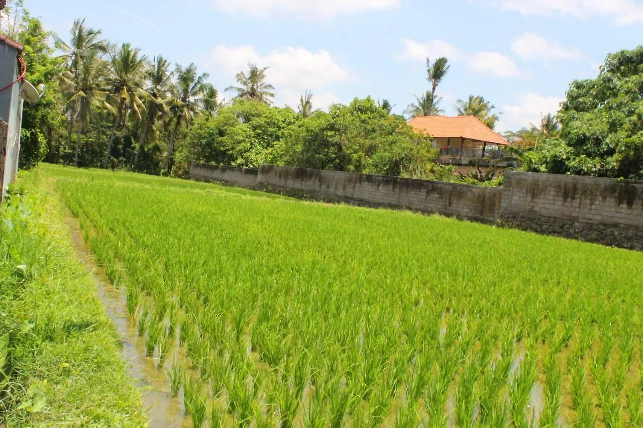 White Creative Villa Campuhan Ubud  Ubud (Bali)