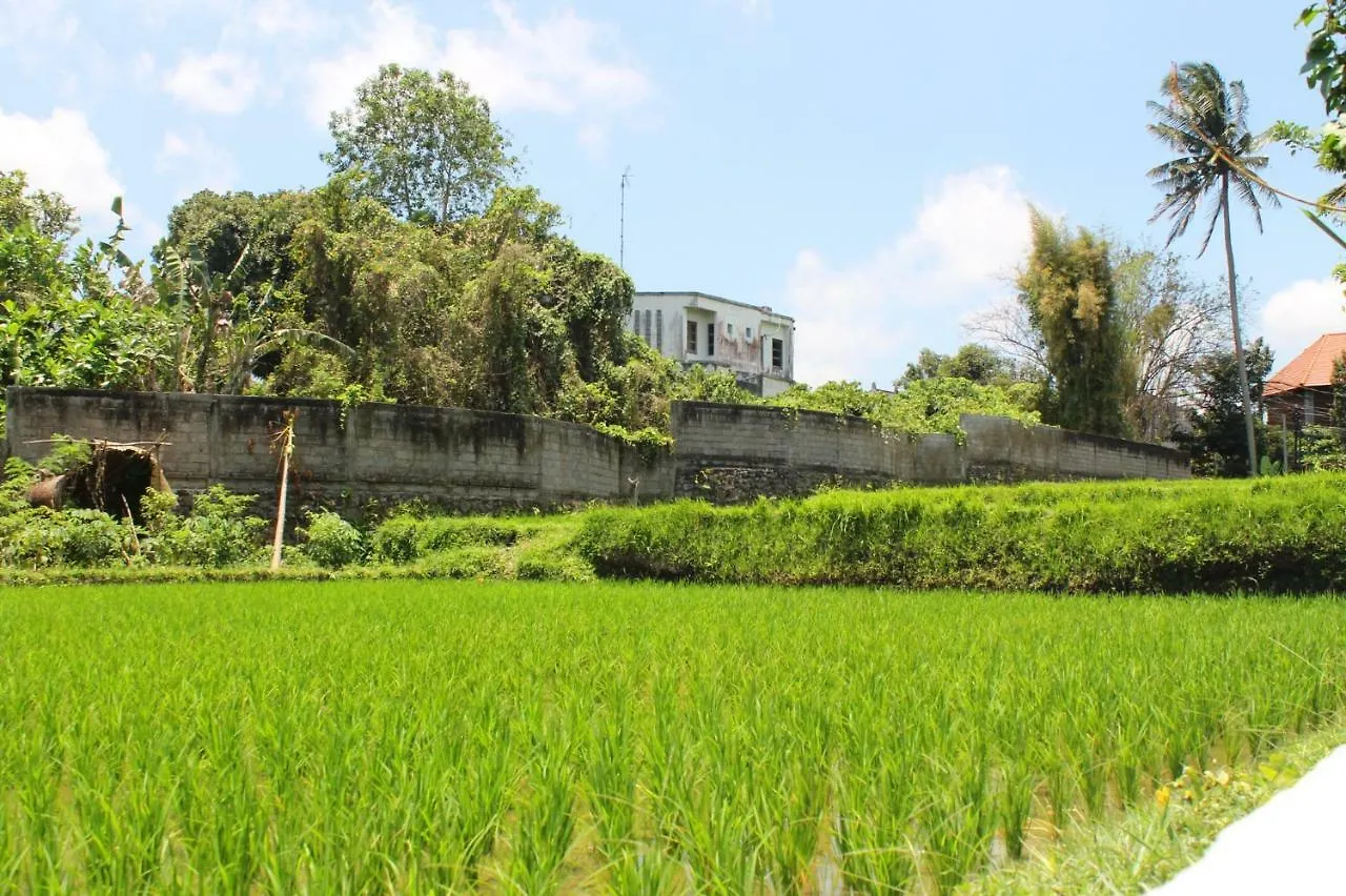 White Creative Villa Campuhan Ubud  0*, Ubud (Bali)